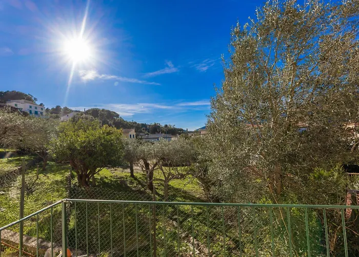 Vicoletto Del Mare - Goelba *